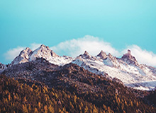 植物大战脑腐终极融合狂潮活动指南