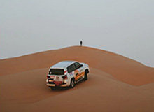 植物大战脑腐终极融合狂潮活动指南