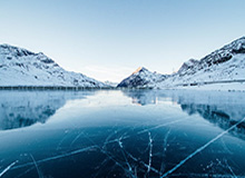 植物大战脑腐终极融合狂潮活动指南